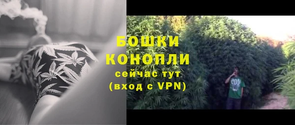 spice Кинешма